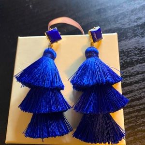 Beautiful tassle earrings